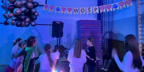 Powiększ grafikę: wosp-671671.jpg